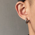 Titanium earrings